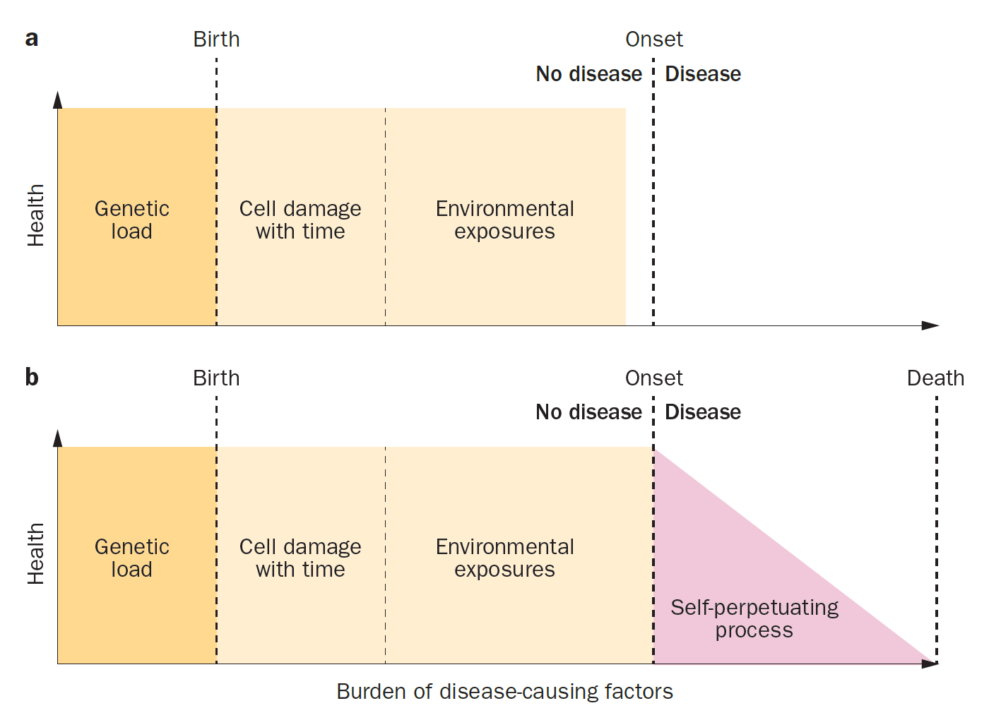 Gene–time–environment model of ALS diagram