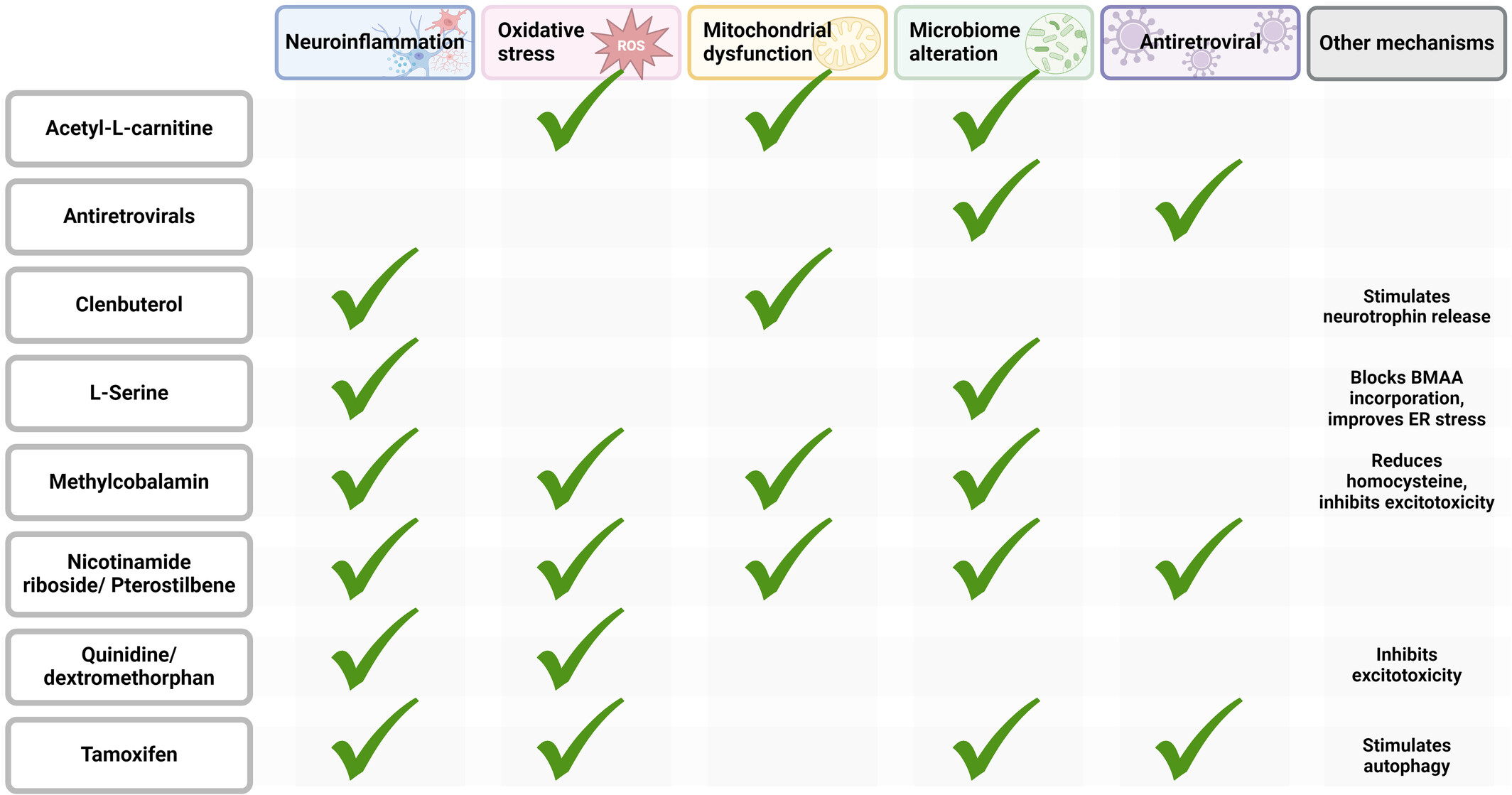 Supplements that may slow ALS progression